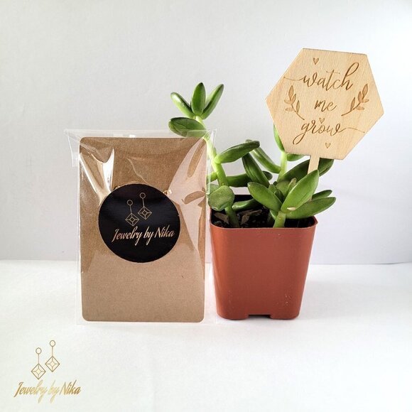 NEW 14K Yellow Gold Multicolor Enameluxe Boho Unique Hoop Luxury Stud Earrings - Picture 15 of 15